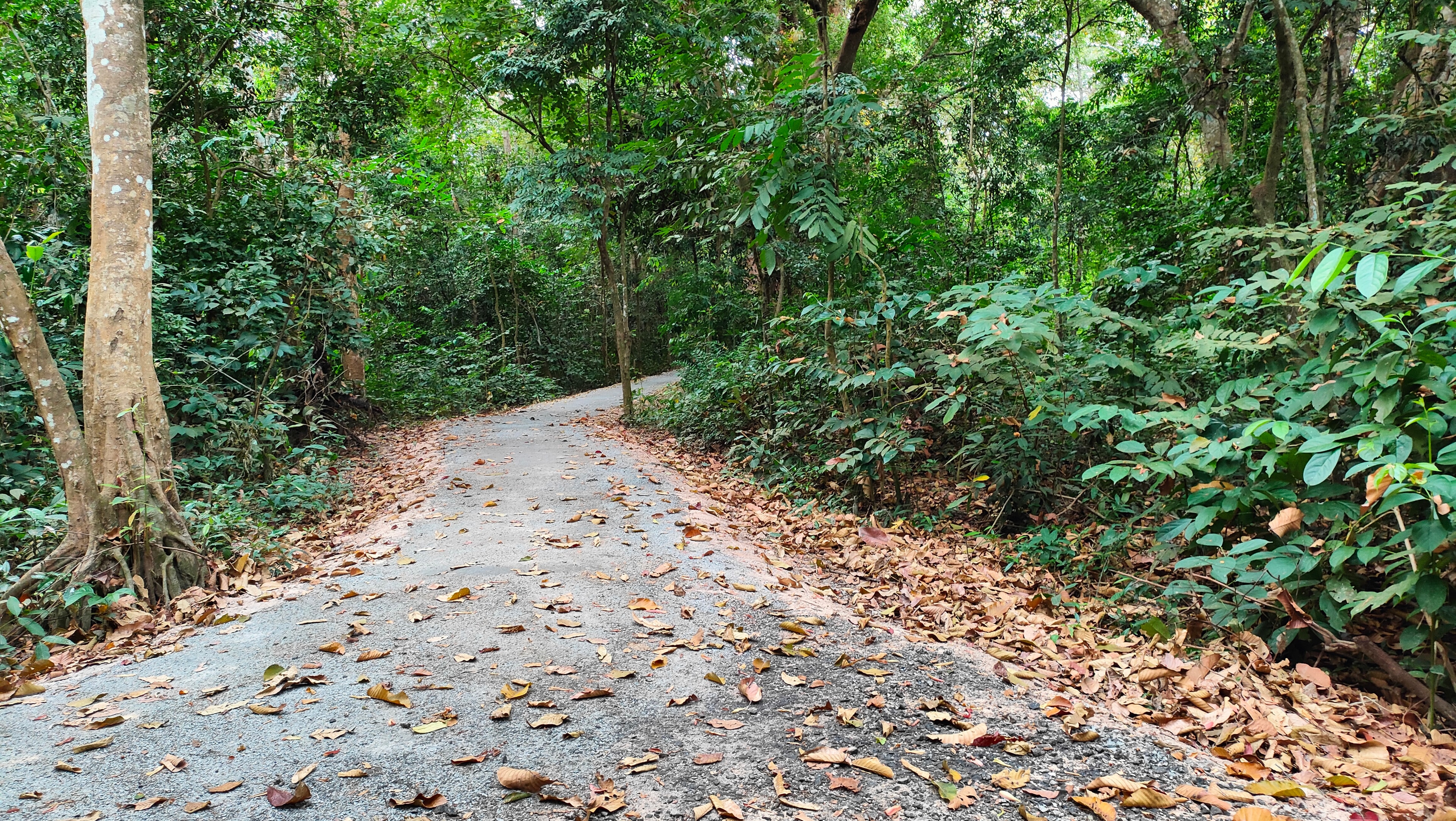 Angkor Sunrise Cycling Adventure