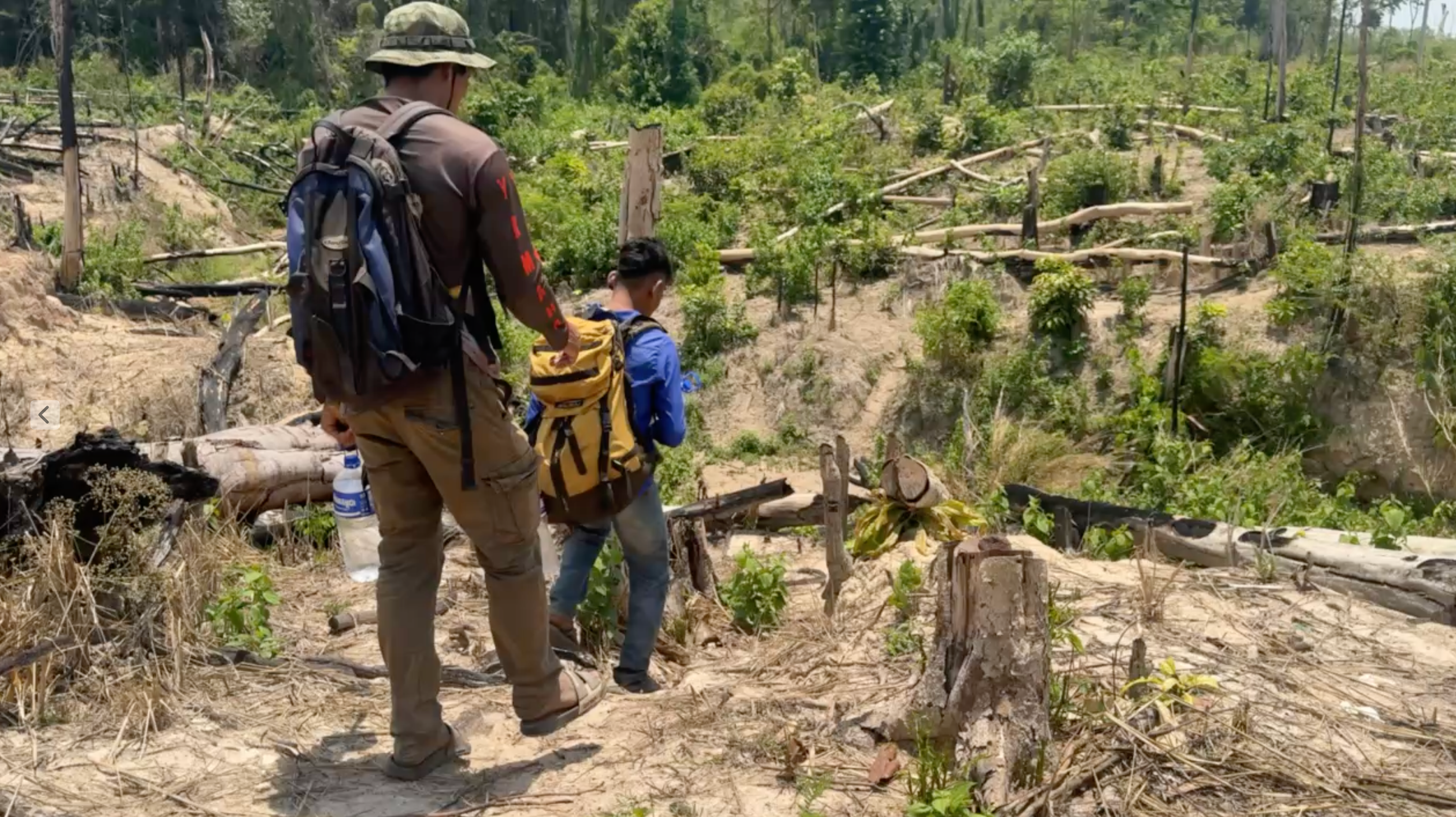 Hiker on jungle trail in Cambodia